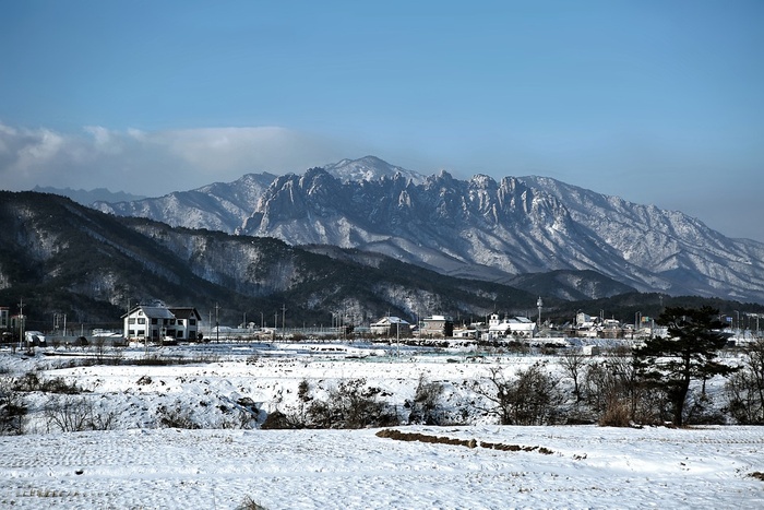 冬天白雪背景风景