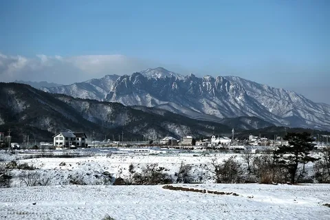 冬天白雪背景风景 冬天白雪背景风景