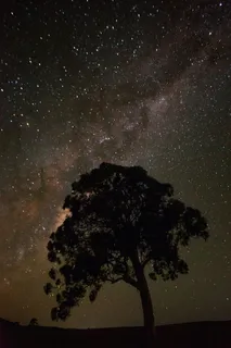 黑色星空摄影素材 黑色星空摄影素材