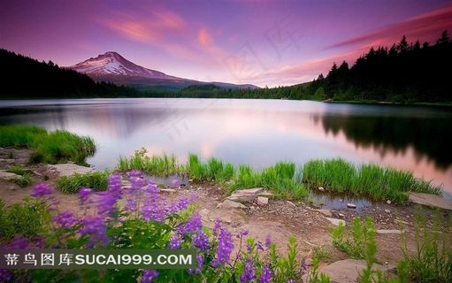 湖泊风光梦幻图片