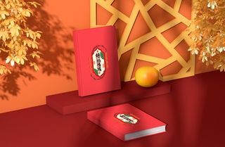 2022年虎年新年春节礼盒场景样机