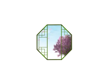 樱花节上窗外的樱花树