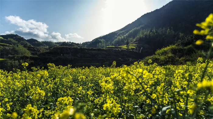 安徽休宁风景图片-第8张