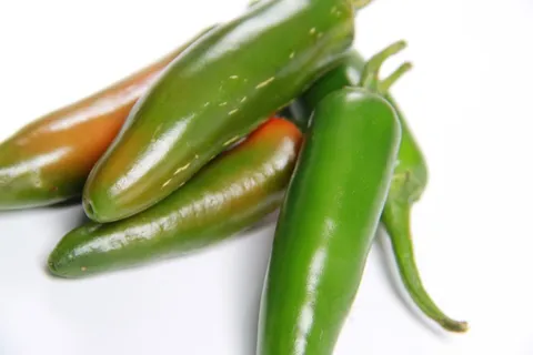 绿色辣椒蔬菜图片