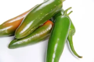 绿色辣椒蔬菜图片