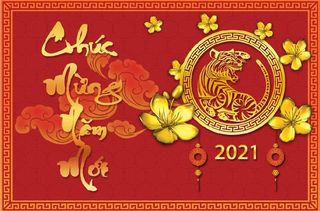 设计创造新年虎年背景