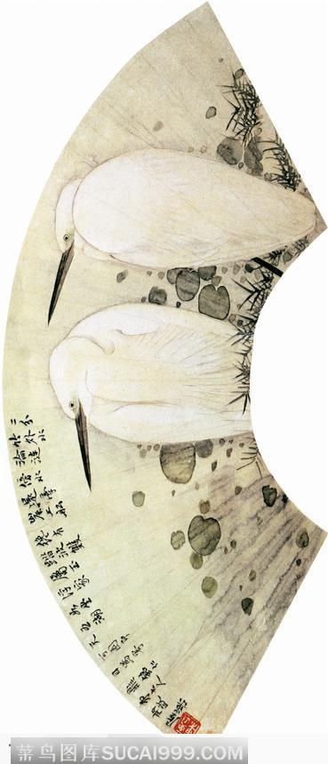 工笔画—白鹭图