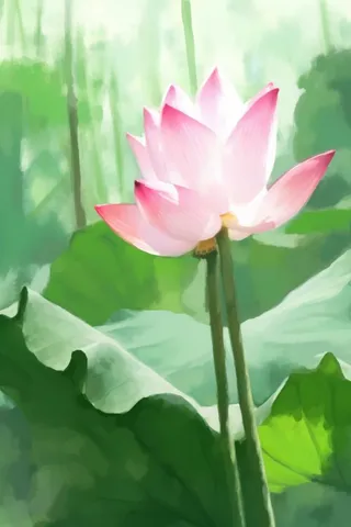 国风荷花水墨节气背景