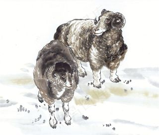 鼠牛虎兔龙蛇马羊猴鸡狗猪高清素材