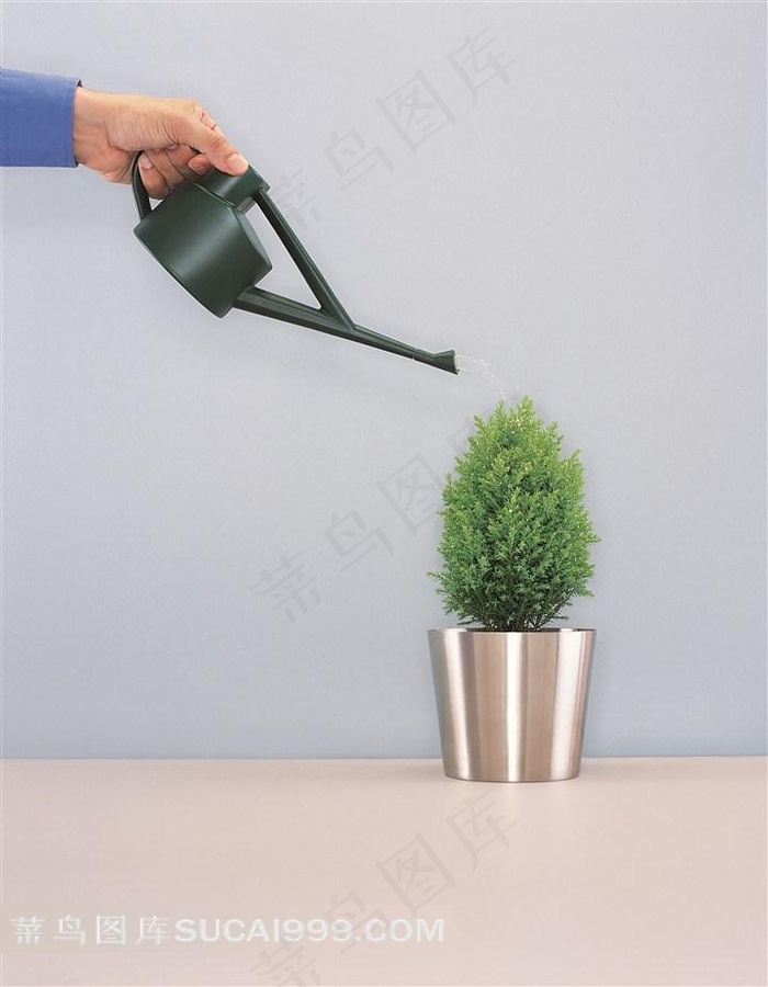 浇花绿色植物图片
