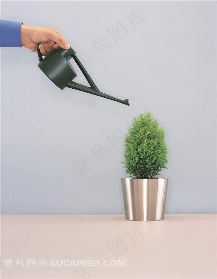 浇花绿色植物图片