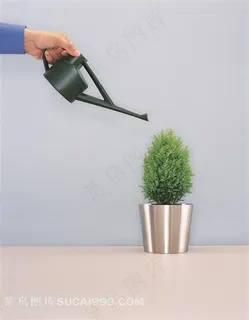 浇花绿色植物图片 浇花绿色植物图片