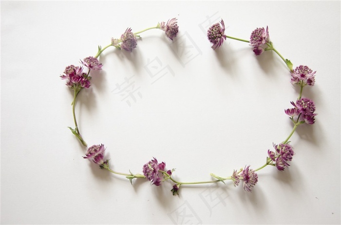 连成一个圈圈的花朵