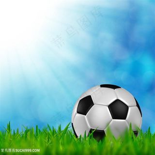 草坪上的足球图