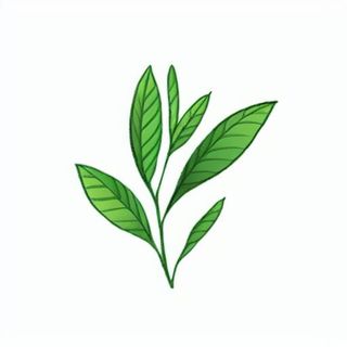 一支绿色的叶子png免抠