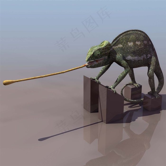 超清野生动物变色龙