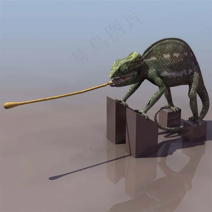 超清野生动物变色龙