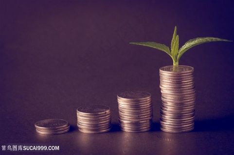 创意硬币与幼苗高清图 创意硬币与幼苗高清图