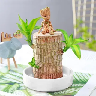 小清新桌面宠物格鲁特玩具摄影图