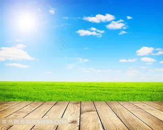 阳光蓝天白云草地木板树叶高清图片