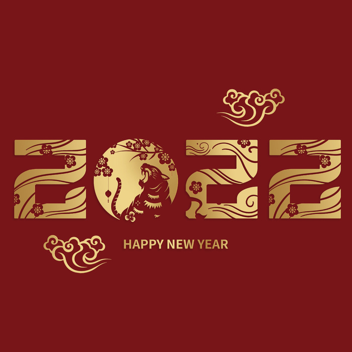 设计 虎年 装饰