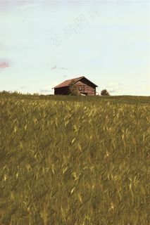 草原上的茅草屋
