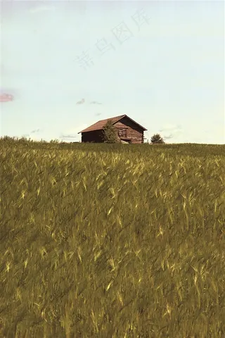 草原上的茅草屋