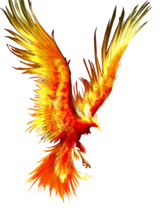 火凤凰卡通