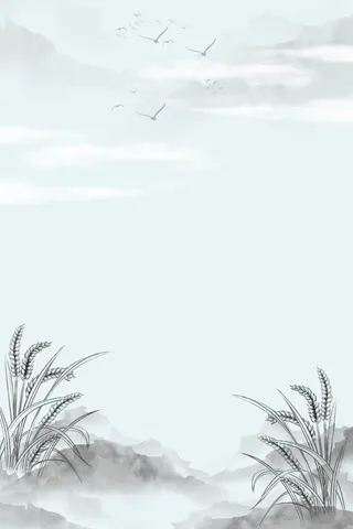 中国风背景 夏日 夏至 小暑