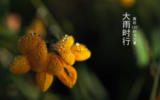 二十四节气大暑高清背景