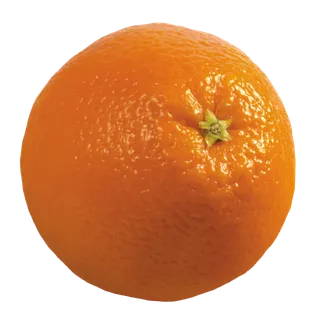 橘子免抠素材 (13)