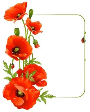 罂粟花 PNG免抠