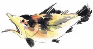 鱼虾蟹龟文化艺术美图素材