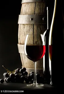 红酒葡萄酒美酒酒水酒文化酒饮料酒杯