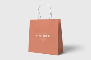文创样机纸袋样机设计素材