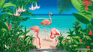 沙滩风景火烈鸟热带植物