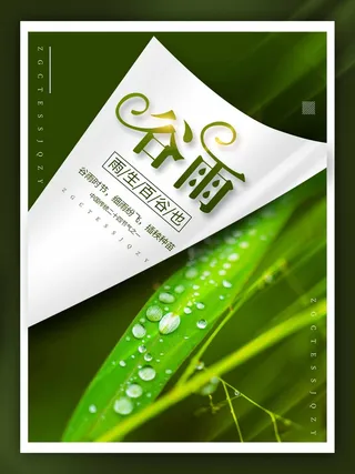 谷雨 谷雨海报模板