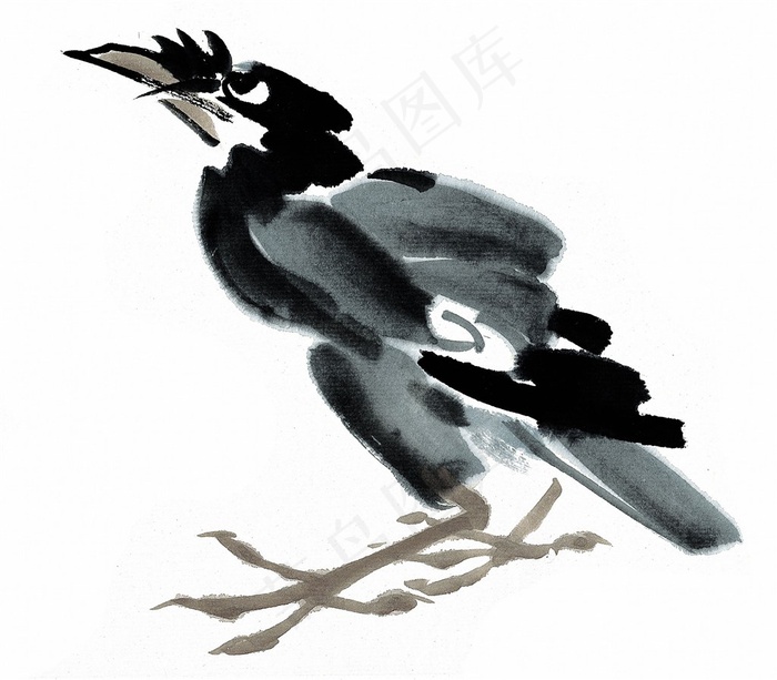 鸟禽艺术绘画图片素材