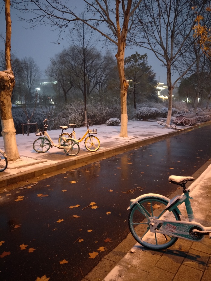 雪后的景色