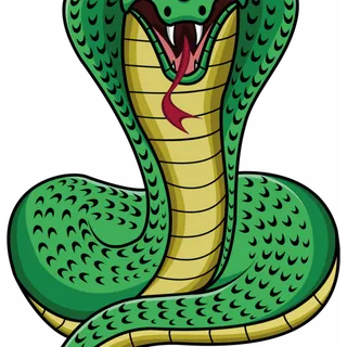 手绘绿色眼镜蛇 免扣