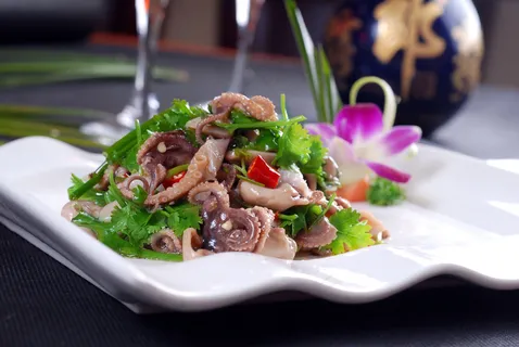 HQ-518八爪鱼 墨鱼