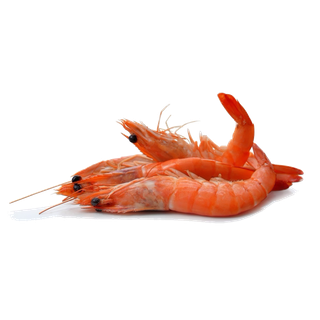 虾类(11)海鲜超市商品红酒白底图免抠实物摄影png格式图片透明底