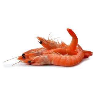 虾类(11)海鲜超市商品红酒白底图免抠实物摄影png格式图片透明底