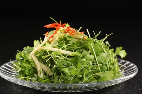 L02320芹茴鲍菇丝 (1)