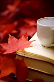 书本树叶秋叶红色简约背景