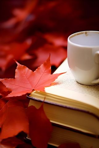 书本树叶秋叶红色简约背景