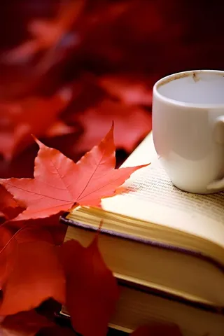 书本树叶秋叶红色简约背景