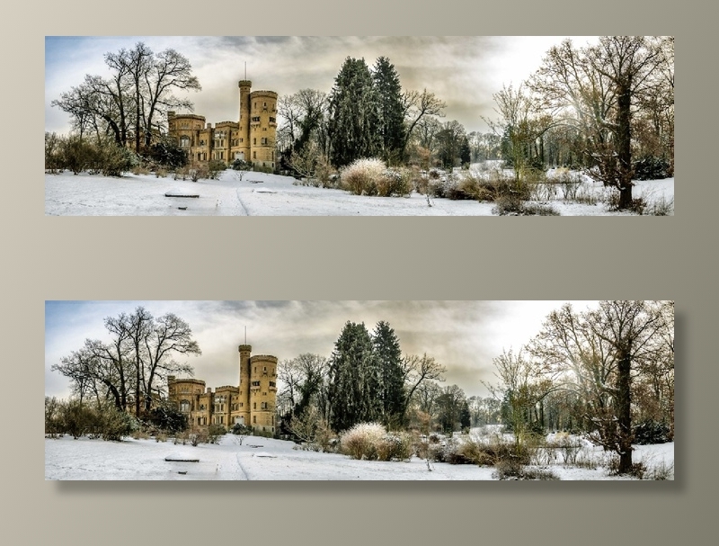 冬天白色背景风景