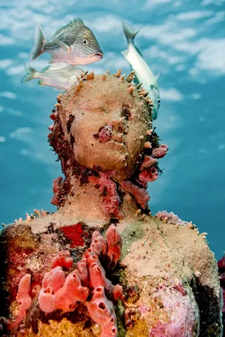 摄影户外雕塑石像人物海洋珊瑚海底海鱼