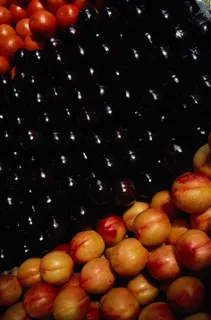 水果好吃的水果素材